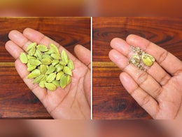 पानी के साथ 1 इलायची खाने से पुरुषों को क्या फायदे होते हैं? न्यूट्रिशनिस्ट ने बताया कैसे करें सेवन