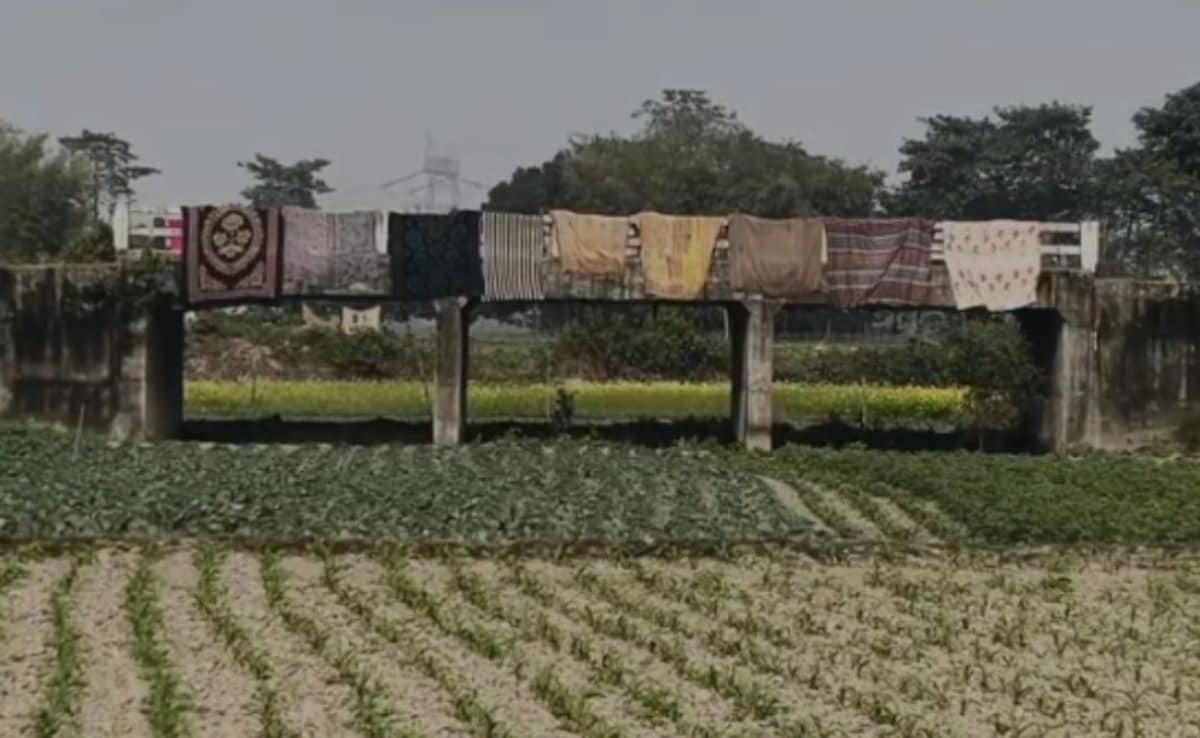 Latest and Breaking News on NDTV