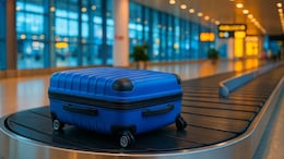 What Happens To Luggage No One Picks Up At Baggage Claim