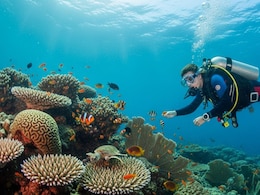 6 Essential Tips Every First-Time Scuba Diver Should Know