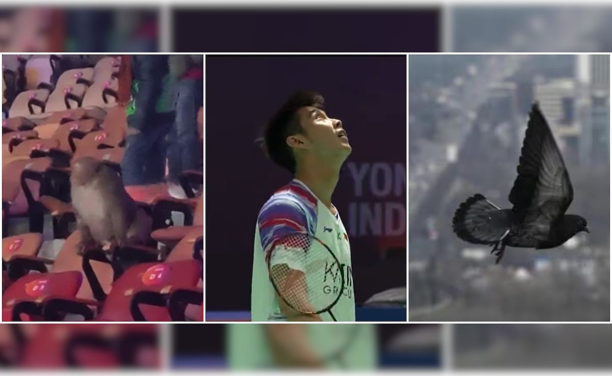 Global Badminton Body Reacts As Hygiene, Sanitation Row Hits India Open 2026