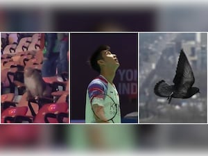 Global Badminton Body Reacts As Hygiene, Sanitation Row Hits India Open 2026