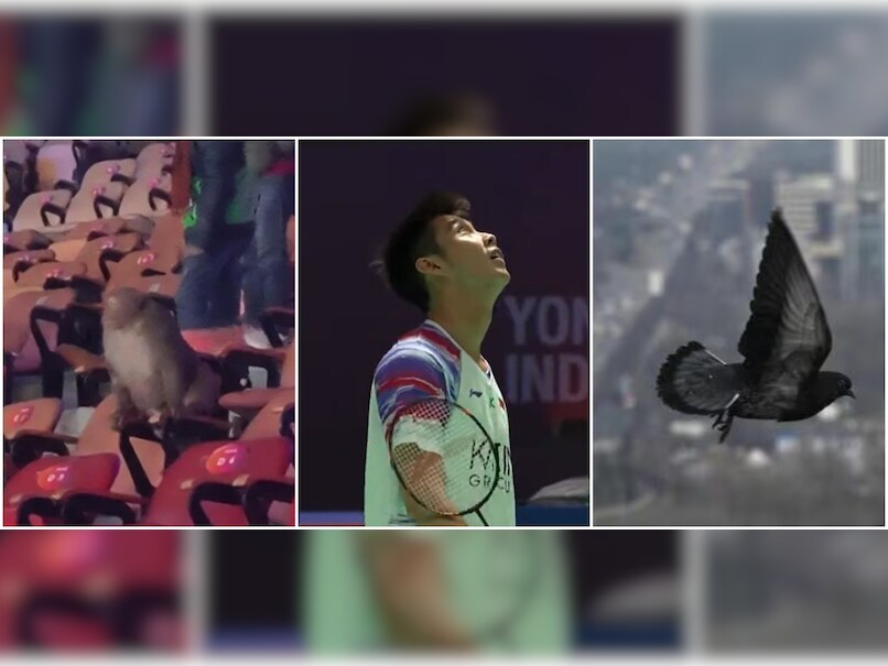 Global Badminton Body Reacts As Hygiene, Sanitation Row Hits India Open 2026