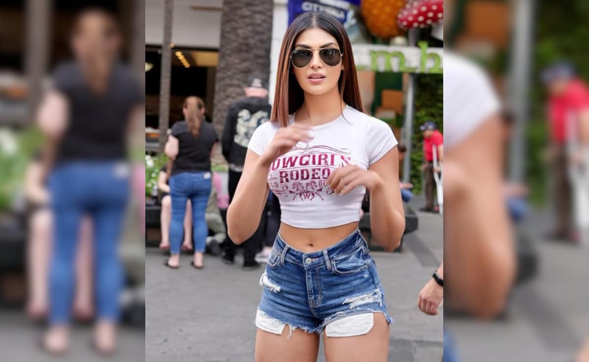 Latest and Breaking News on NDTV