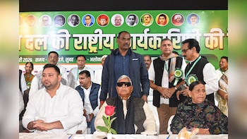 Bihar: Tejashwi Named RJD Working President At National Executive Meeting