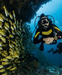 Best Scuba Diving Destinations In India