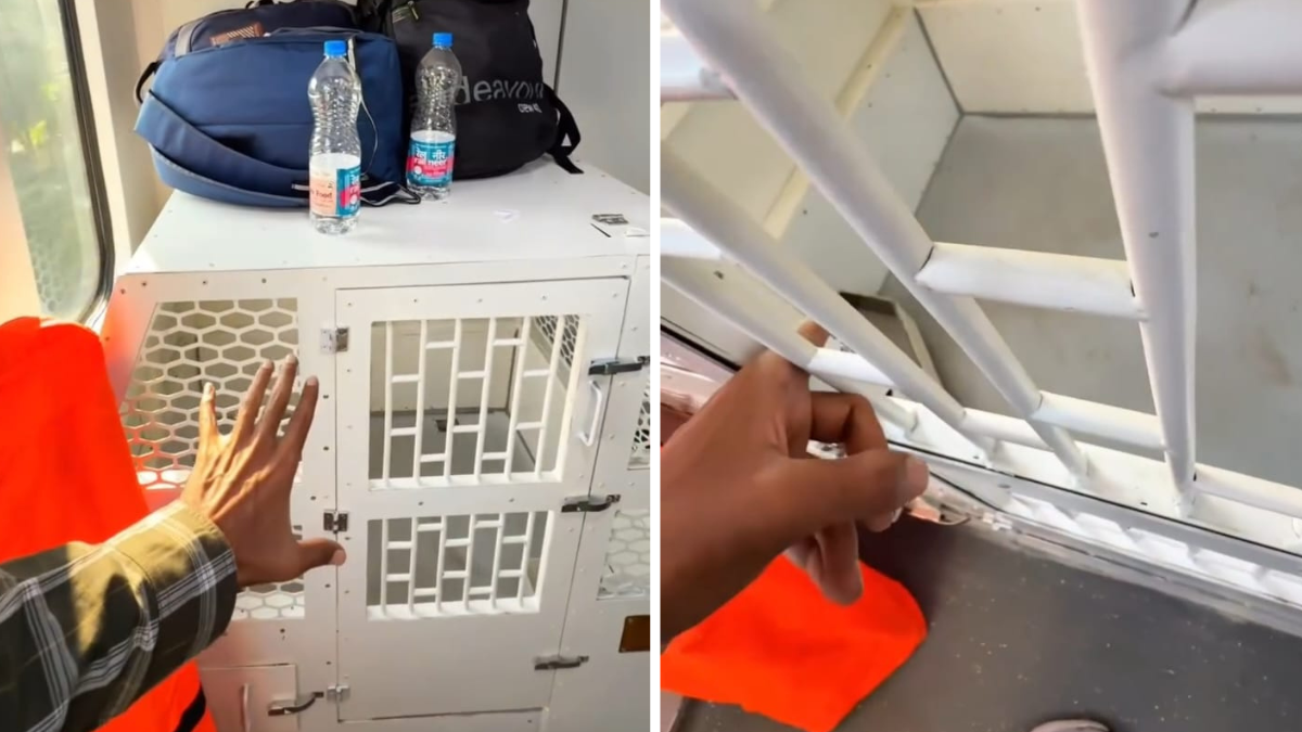 Viral Video On Vande Bharat Sleeper's Pet Box Facility Sparks Online Debate