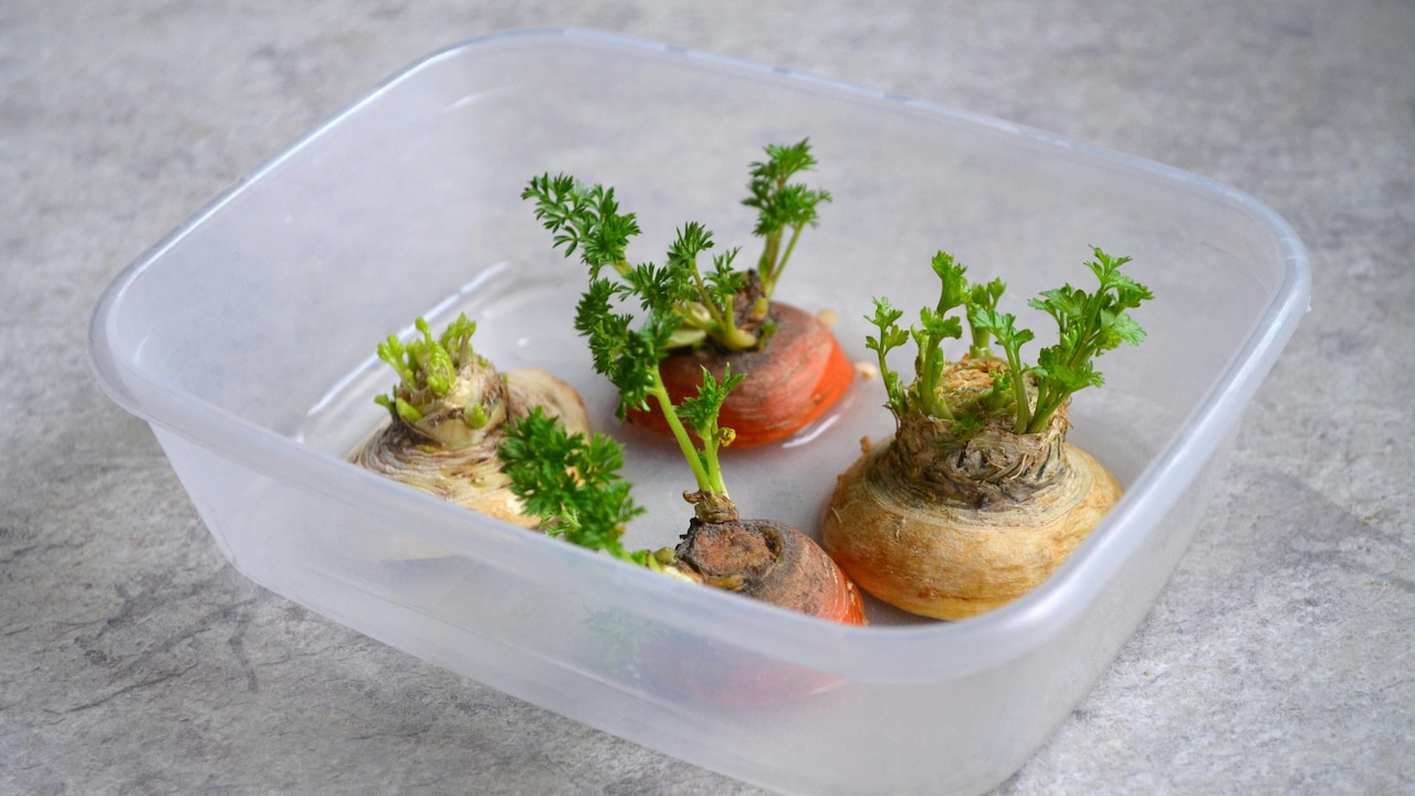 Why Cheap Plastic Storage Boxes Break Easily And How To Choose Durable Organisers Why Cheap Plastic Storage Boxes Break Easily And How To Choose Durable Organisers