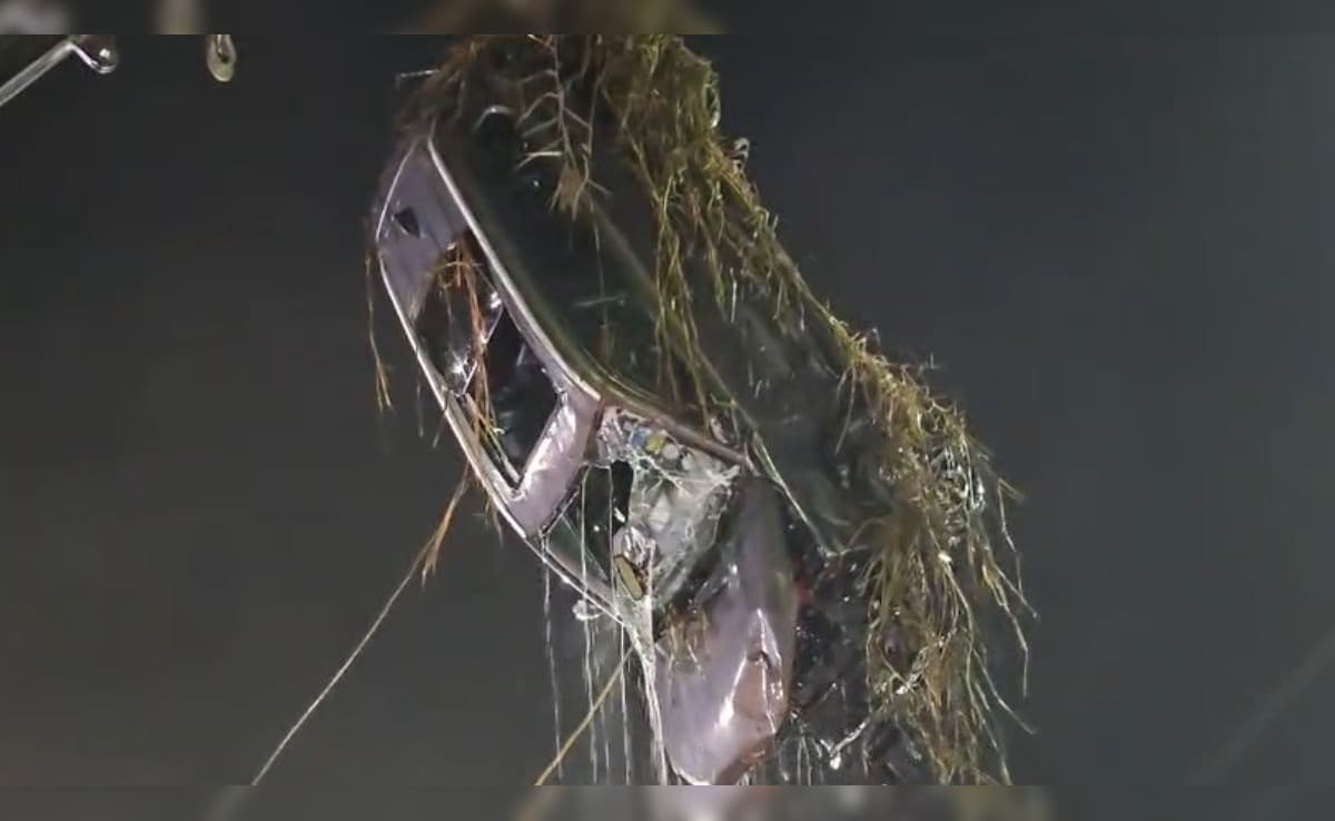 Green Tribunal Seeks Authorities' Reply On Waterlogging At Noida Techie Death Site