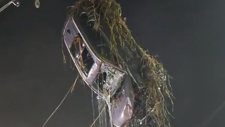 Green Tribunal Seeks Authorities' Reply On Waterlogging At Noida Techie Death Site