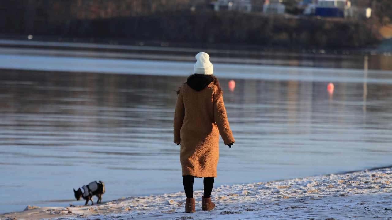 Which women winterwear will you grab from Myntra Grand Garage Edition?