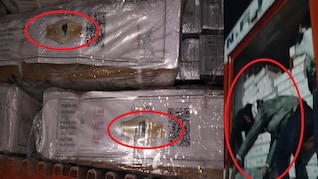 भोपाल गौमांस मामले में बड़ा अपडेट, सेशन कोर्ट से आरोपी असलम कुरैशी को मिली जमानत