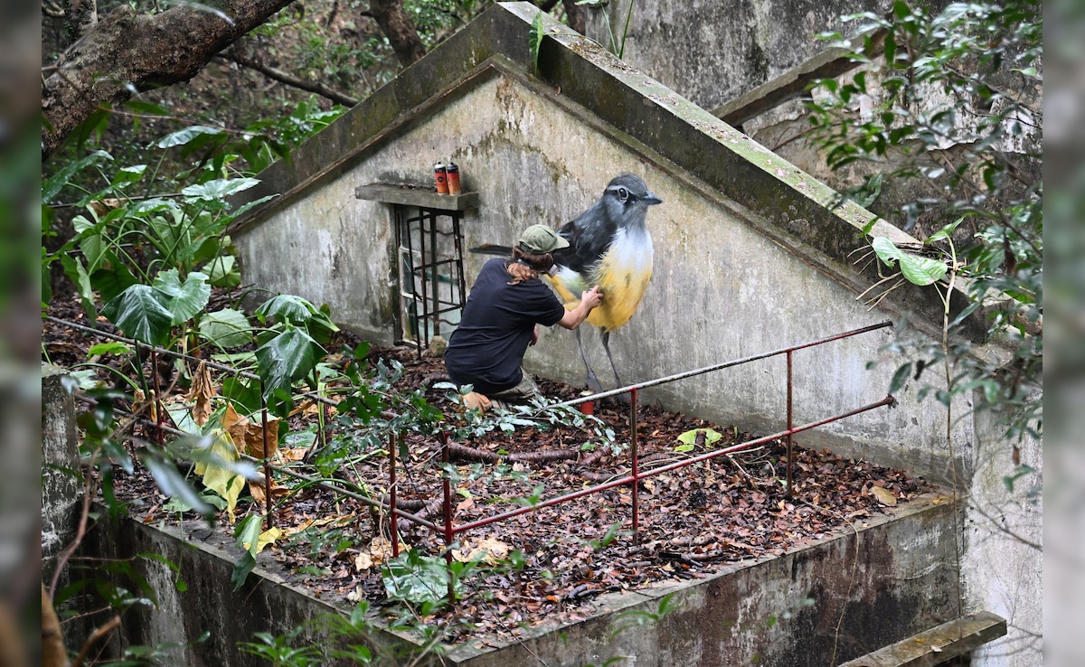 Latest and Breaking News on NDTV Latest and Breaking News on NDTV