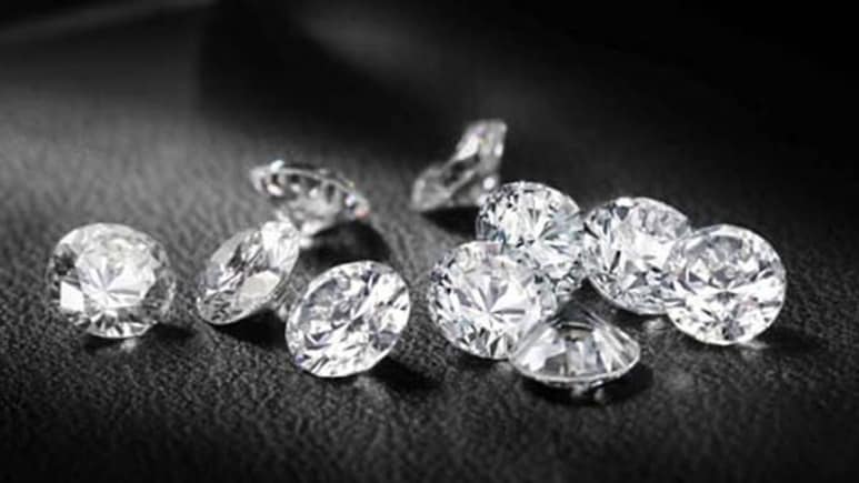 मुंबई: 34 करोड़ की हीरा धोखाधड़ी में अभिनेता विवेक ओबेरॉय समेत 3 पर जांच शुरू