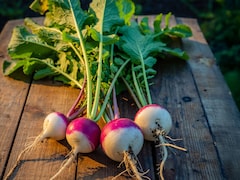 आयुर्वेद में शलजम को सुपरफूड माना गया है?  जानें ठंड में खाने के फायदे और सही तरीका