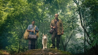 2 घंटे 5 मिनट की इस फिल्म को देखा तो भूल जाएंगे धुरंधर और छावा, ओटीटी पर हो चुकी है रिलीज