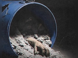 ओटीटी की इस 9.7 रेटिंग वाली सीरीज को देख कांपेगी मर्दों की रूह! नीले ड्रम और हनीमून हत्याकांड की हकीकत देख फैंस बोले- स्पाइन चिलिंग