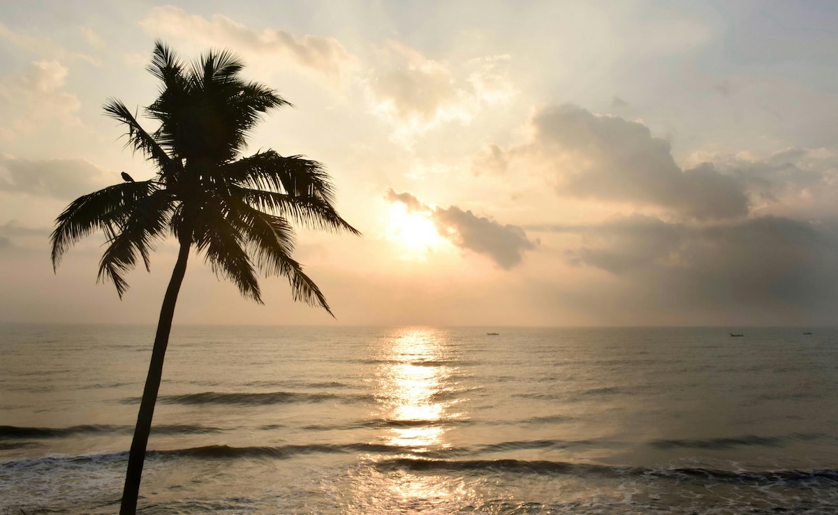 Latest and Breaking News on NDTV