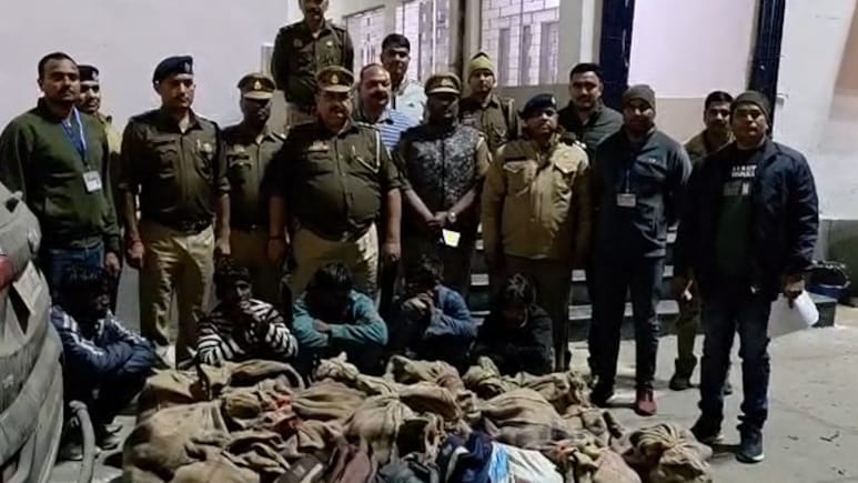 प्रयागराज जंक्शन पर ट्रेन के जनरल कोच से 1.5 करोड़ के 600 कछुए बरामद, RPF-GRP ने 5 तस्करों को पकड़ा