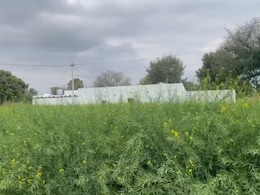 Rajasthan Weather: राजस्थान में बारिश और ओलावृष्टि, मावठ से बढ़ा ठंड का कहर; 3 दिन में 5 डिग्री गिरेगा तापमान!