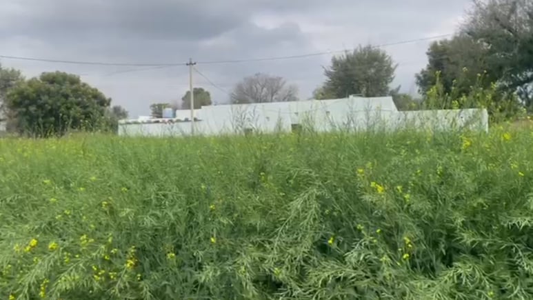 Rajasthan Weather: राजस्थान में बारिश और ओलावृष्टि, मावठ से बढ़ा ठंड का कहर; 3 दिन में 5 डिग्री गिरेगा तापमान!