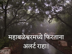 महाबळेश्वरमध्ये स्थानिकांसह पर्यटकांमध्येही घबराट; मार्केटमध्ये फिरताना अलर्ट राहा!