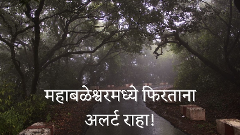 Mahabaleshwar News : महाबळेश्वरमध्ये स्थानिकांसह पर्यटकांमध्येही घबराट; मार्केटमध्ये फिरताना अलर्ट राहा!