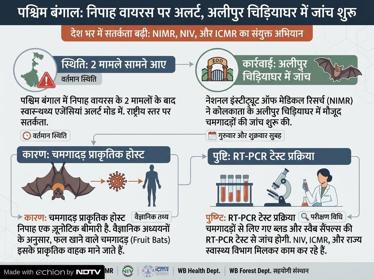 Latest and Breaking News on NDTV