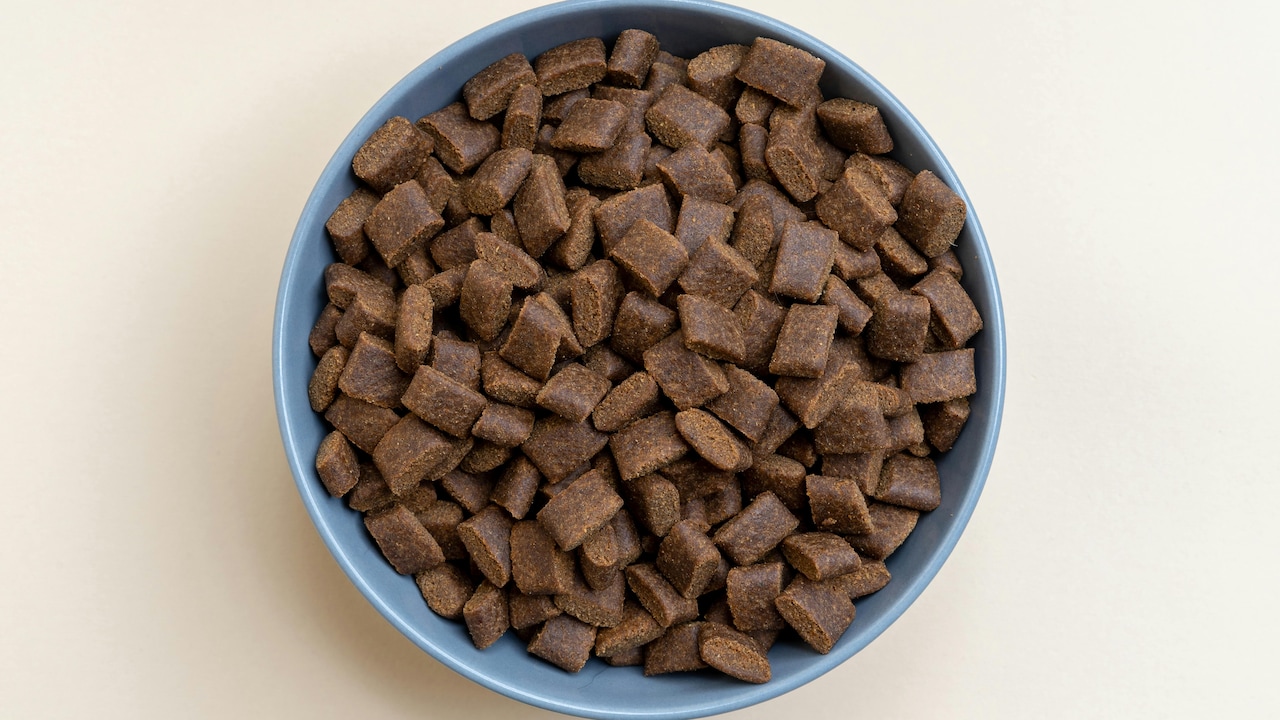 5 Affordable Pet Food 2026: Nutritious Picks Are Good for Your Pet