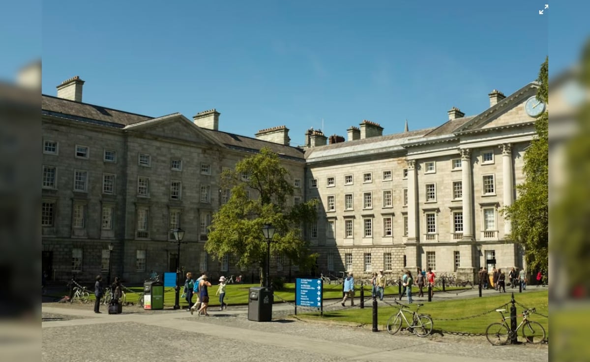 Indian Graduate Warns of Job Market Challenges for Students in Ireland