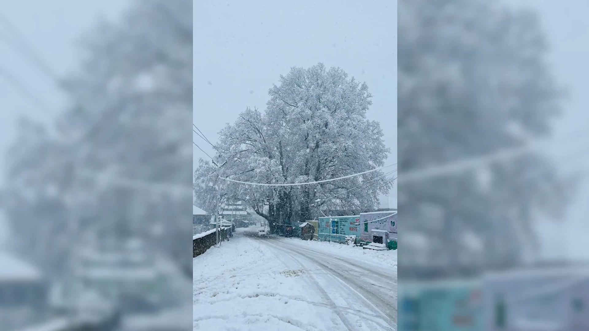 Kashmir Wakes Up To Season's First Snowfall, Flights, Highway Shut