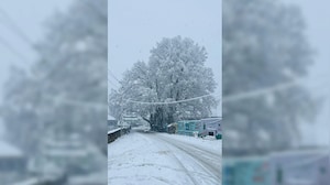 Kashmir Wakes Up To Season's First Snowfall, Flights, Highway Shut