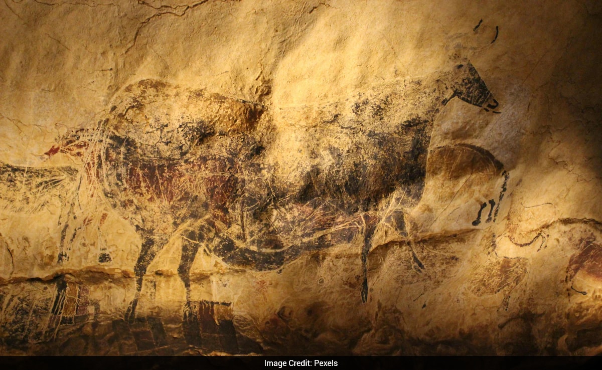 68,000-Year-Old Hand Art Found in Indonesia
