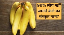 इस अप्सरा के संस्कृत नाम का मतलब है केला, 99% लोग नहीं जानते केले का संस्कृत नाम, यहां जानें इसके फायदे भी