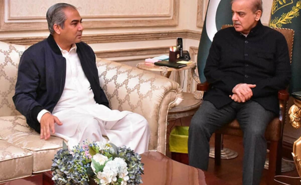 Pakistan T20 World Cup Participation LIVE Updates: Mohsin Naqvi To Meet Pak PM At 4:30 pm