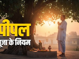 Peepal Puja Tips: हिंदू धर्म में आखिर क्यों की जाती है पीपल के पेड़ की पूजा? जानें इससे जुड़े अचूक उपाय और जरूरी नियम