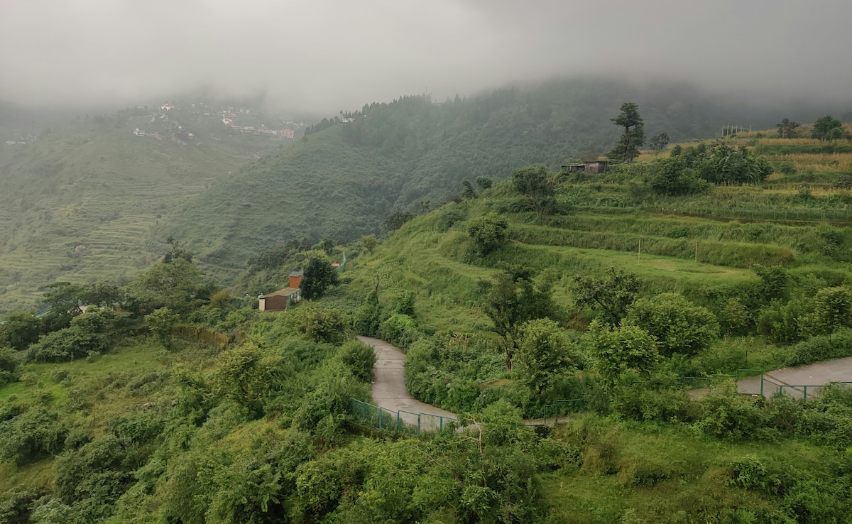 Latest and Breaking News on NDTV