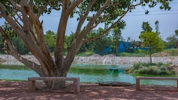 Baansera Park In Delhi Will Soon Get A Traditional Kashmiri Houseboat. Authority Fast-Tracks Project