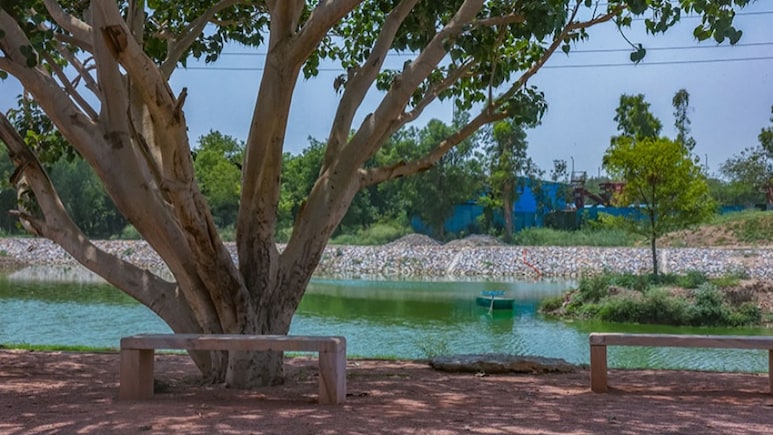 Delhi Park Will Soon Get A Traditional Kashmiri Houseboat. Authority Fast-Tracks Project