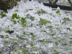 Hailstorm: मध्य प्रदेश के इन जिलों में तेज वर्षा के साथ ओलावृष्टि, किसानों की चिंता बढ़ी, रबी फसल को भारी नुकसान