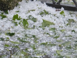 Hailstorm: खेतों से सड़कों तक... बिछ गई बर्फ की चादर, मध्य प्रदेश में ओलावृष्टि के साथ तूफानी बारिश ! कई इलाकों में बिजली गुल