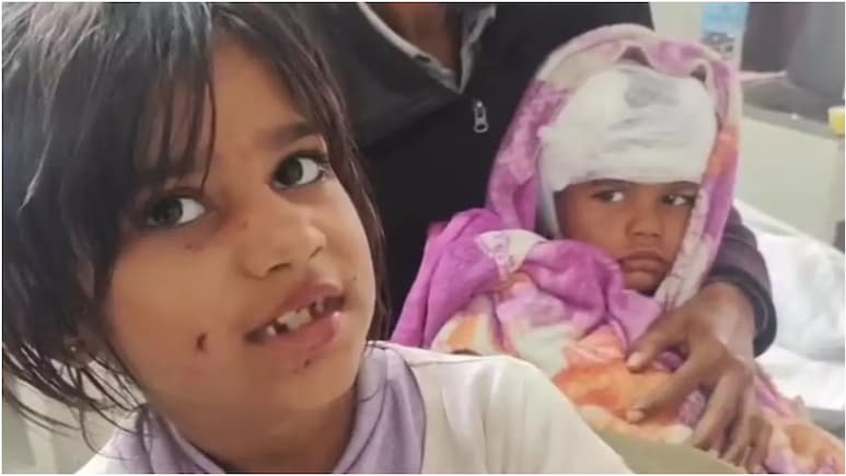 हिम्मत हो तो ऐसी... छोटे भाई को बचाने के लिए कुत्ते से भिड़ गई आठ साल की बहन, लिजा की बहादुरी की कहानी