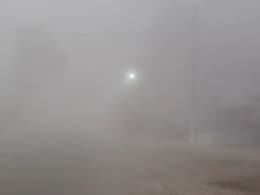 MP Weather Today: सर्दी का सितम, कोहरे का कहर, 3.4 डिग्री पारे के साथ खजुराहो सबसे ठंडा,&nbsp;हवा ने बढ़ाई सिरहन