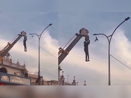 एक चिड़िया की जान बचाने के लिए क्रैन से लटक गया शख्स, VIDEO देख लोग कर रहे सैल्यूट