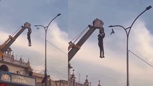 एक चिड़िया की जान बचाने के लिए क्रैन से लटक गया शख्स, VIDEO देख लोग कर रहे सैल्यूट
