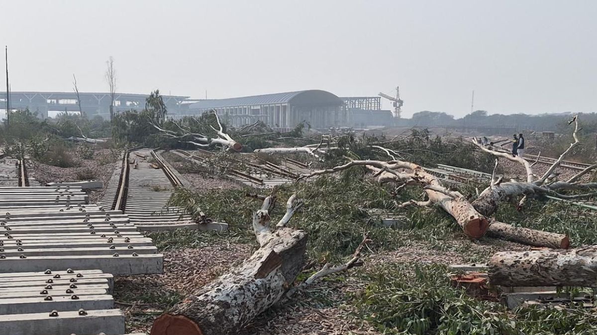 Panel Clears Tree-Felling For Delhi Rail Project While Court Case Pending