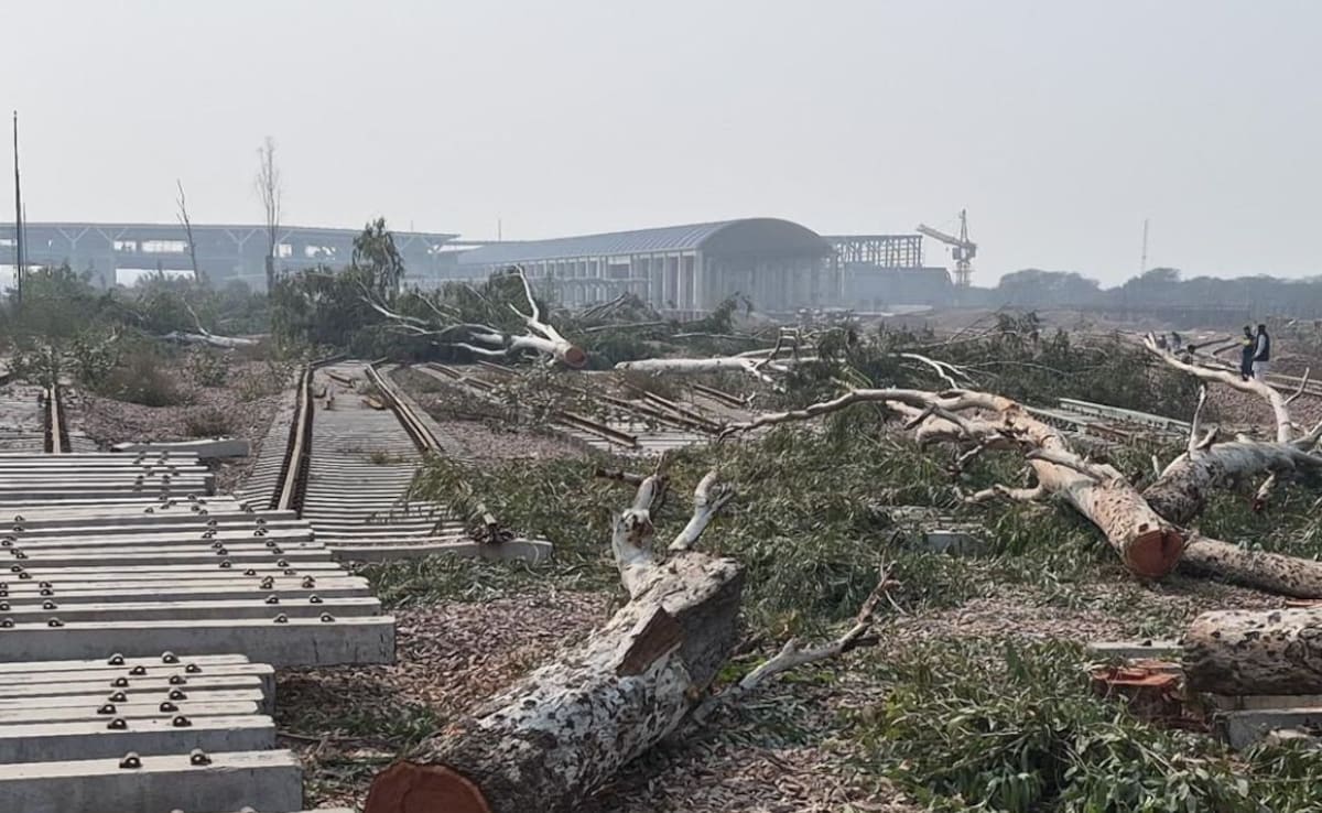 Tree-Felling For Delhi Rail Project Cleared While Dwarka Forest Case Pending