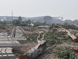 Tree-Felling For Delhi Rail Project Cleared While Dwarka Forest Case Pending