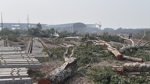 Tree-Felling For Delhi Rail Project Cleared While Dwarka Forest Case Pending