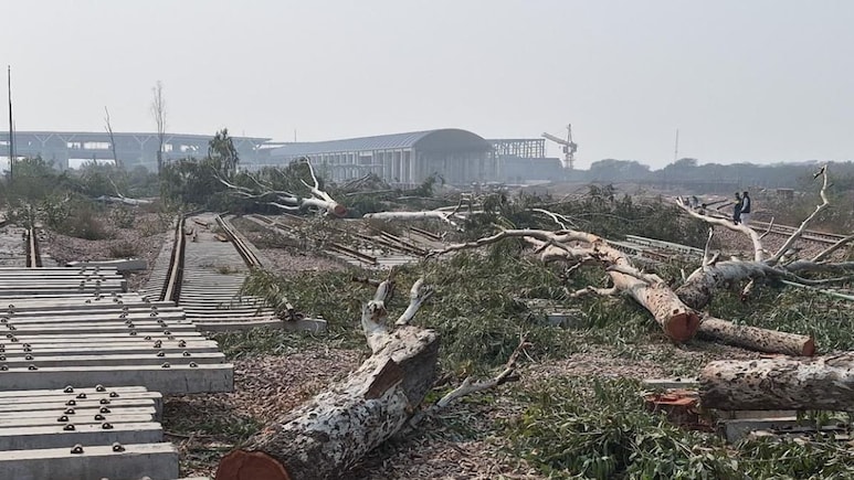 Tree-Felling For Delhi Rail Project Cleared While Dwarka Forest Case Pending